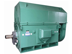 洛南Y系列6KV高压电机